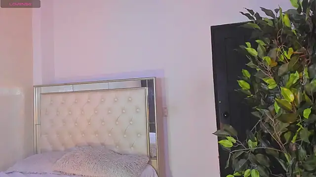 im sebaslopez online show from February 12, 8:26 pm