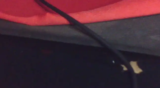 Penis58 online show from December 29, 11:18 am