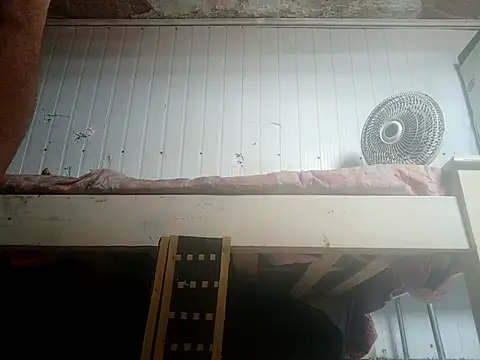 frotasso online show from February 14, 2:23 pm