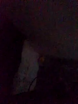 WeldingSenior online show from April 21, 4:35 pm