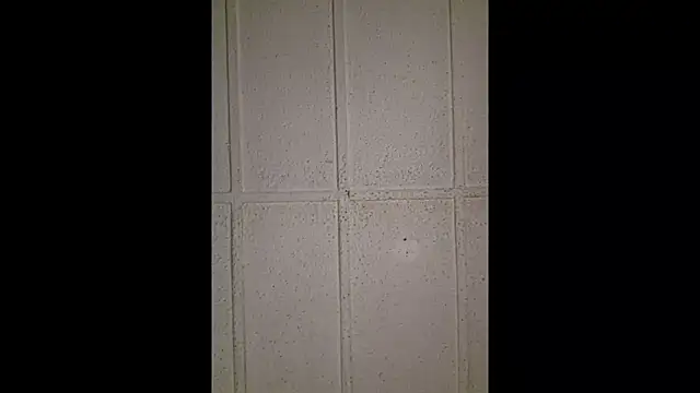 zaneporter46 online show from October 30, 10:44 pm