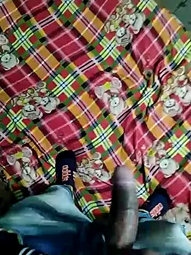 Kingxey online show from December 31, 11:09 am