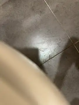 verici34 online show from February 21, 5:25 pm