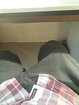 teluguu-rajj online show from November 18, 8:51 am