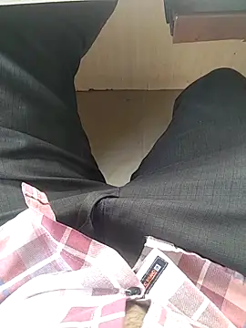 teluguu-rajj online show from November 11, 8:30 am