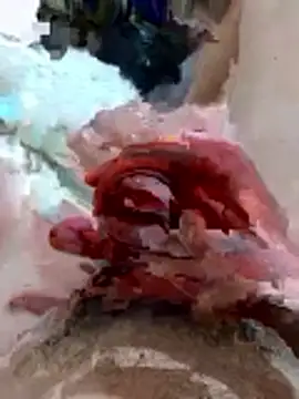 pussyhoneyhot online show from February 19, 9:00 pm