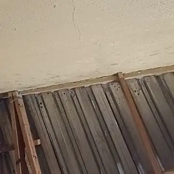 T9nybh3ksta66 online show from October 22, 3:32 am