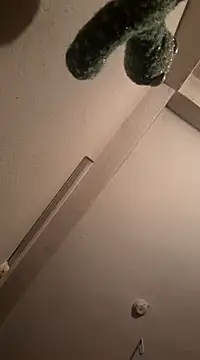 RaviRoy2326 online show from March 1, 8:10 pm