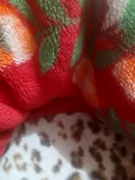 mhmia online show from January 12, 1:09 am