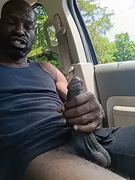 birdg online show from June 1, 6:41 pm