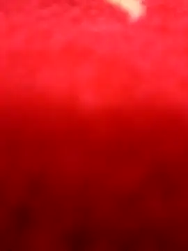 alansex 19 online show from August 3, 1:48 am