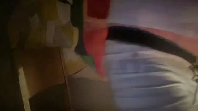 DominantDong online show from February 7, 8:10 am