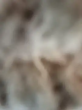 mauroxx08 online show from April 5, 3:19 pm