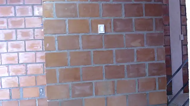 Aronbbc online show from April 20, 12:51 pm