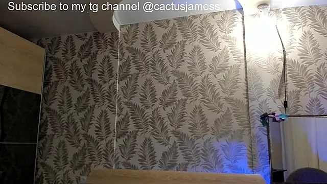 Cactus  James online show from November 8, 2:20 pm