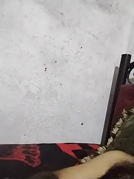 salimbasha online show from July 28, 1:13 am