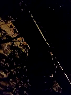 Ridick2025 online show from April 11, 3:57 am