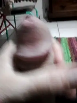 userbrasil12345 online show from June 26, 3:42 am