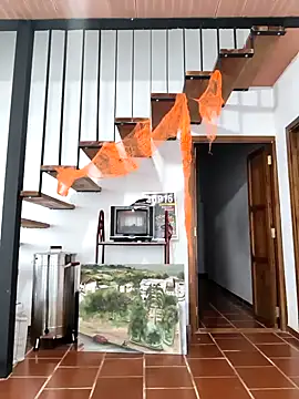 Hiroshi Shen online show from November 10, 11:37 am