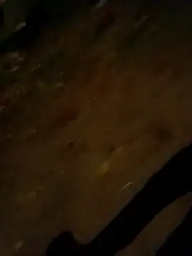 Snapshot of jvdzj-0_ chatting on October 28, 9:50 pm jvdzj-0  online show from October 28, 9:50 pm