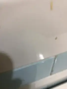 ronal12345 online show from December 4, 10:44 am