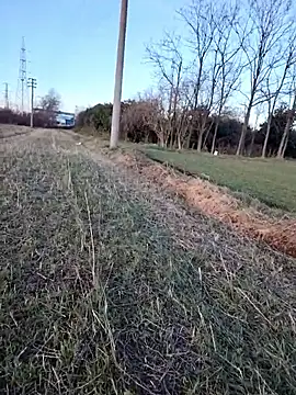 Prince-sexy online show from January 6, 3:05 pm