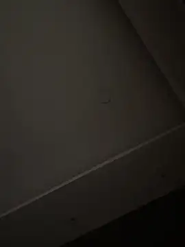 ALANNFERRER online show from November 1, 10:41 am