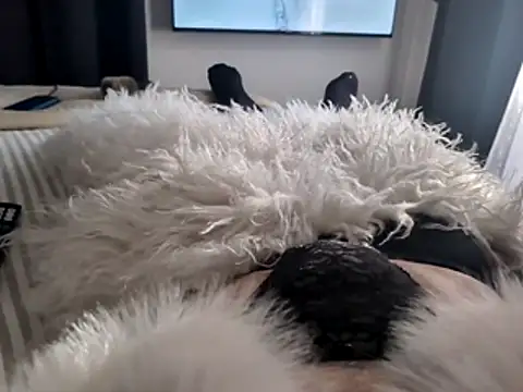 furgamer44 online show from April 23, 7:35 am