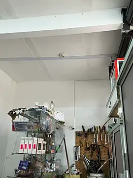 Terra-22cm online show from April 8, 5:11 pm