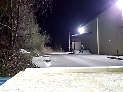 sloppytopkins online show from April 1, 3:41 am