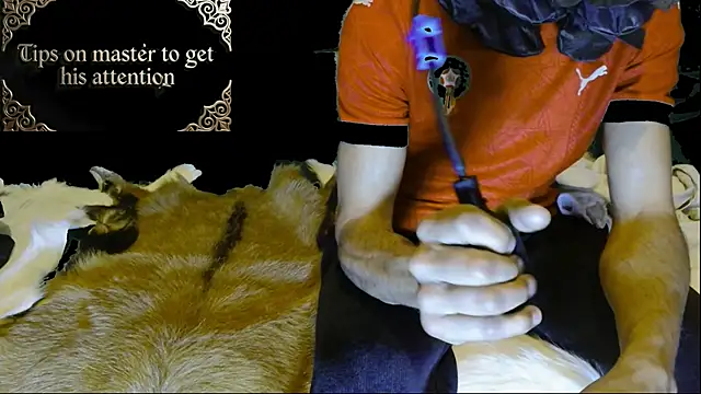 JUSTFORRICH online show from January 15, 3:10 am