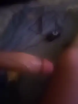 bogdy6969 online show from March 29, 5:24 pm