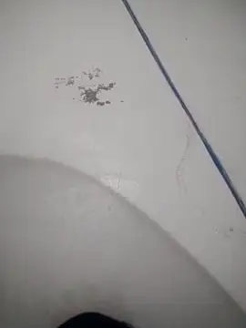 Celestial Field online show from April 9, 4:46 pm