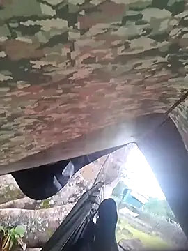 Alabestia12 online show from November 5, 9:17 pm