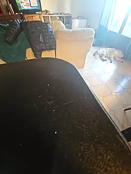 Stingles online show from March 27, 5:25 pm