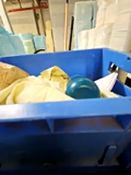 Stingles online show from March 17, 12:40 pm