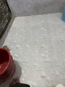 NoddingScorpion online show from September 21, 12:49 pm