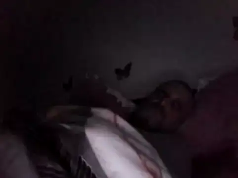 Hisnimin online show from February 18, 3:59 am