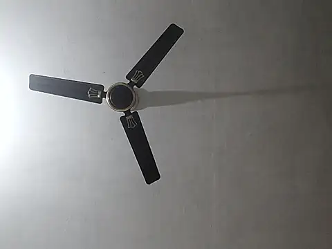 NoxiousFilename online show from November 3, 12:09 pm