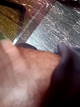 dolphiinn online show from November 26, 1:25 pm