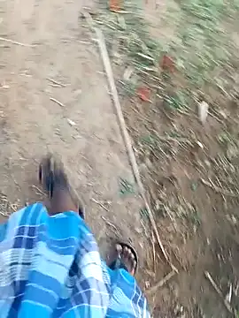 dolphiinn online show from April 19, 1:49 am