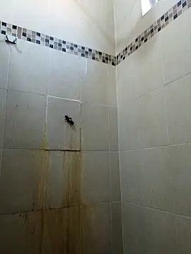 Jovenlechoso2044 online show from October 25, 11:17 pm