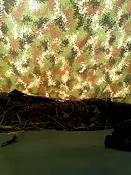 lamejorpene online show from February 2, 2:25 pm