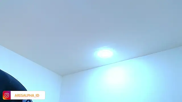 Ares Alpha online show from October 11, 8:02 pm