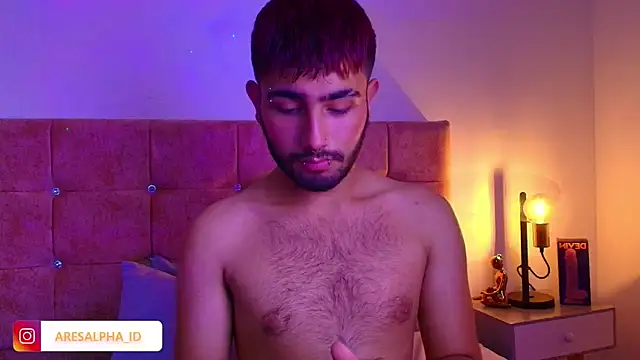 Ares Alpha online show from October 1, 8:02 pm