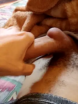 hamza 2005  online show from November 7, 11:13 am