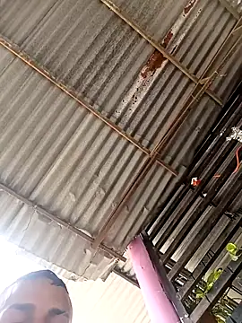 wwwww143 online show from November 21, 5:23 pm