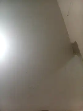 Bebicho14 online show from April 4, 5:48 am