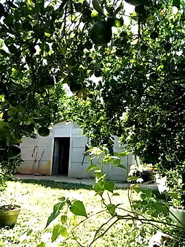 AlphaAlterX online show from September 9, 1:43 pm