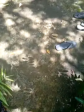 sadu babe online show from November 8, 5:21 am